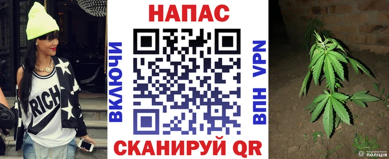 Бошки марихуана тримм  Купить закладки  Володарск 